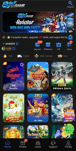 8W Game Download